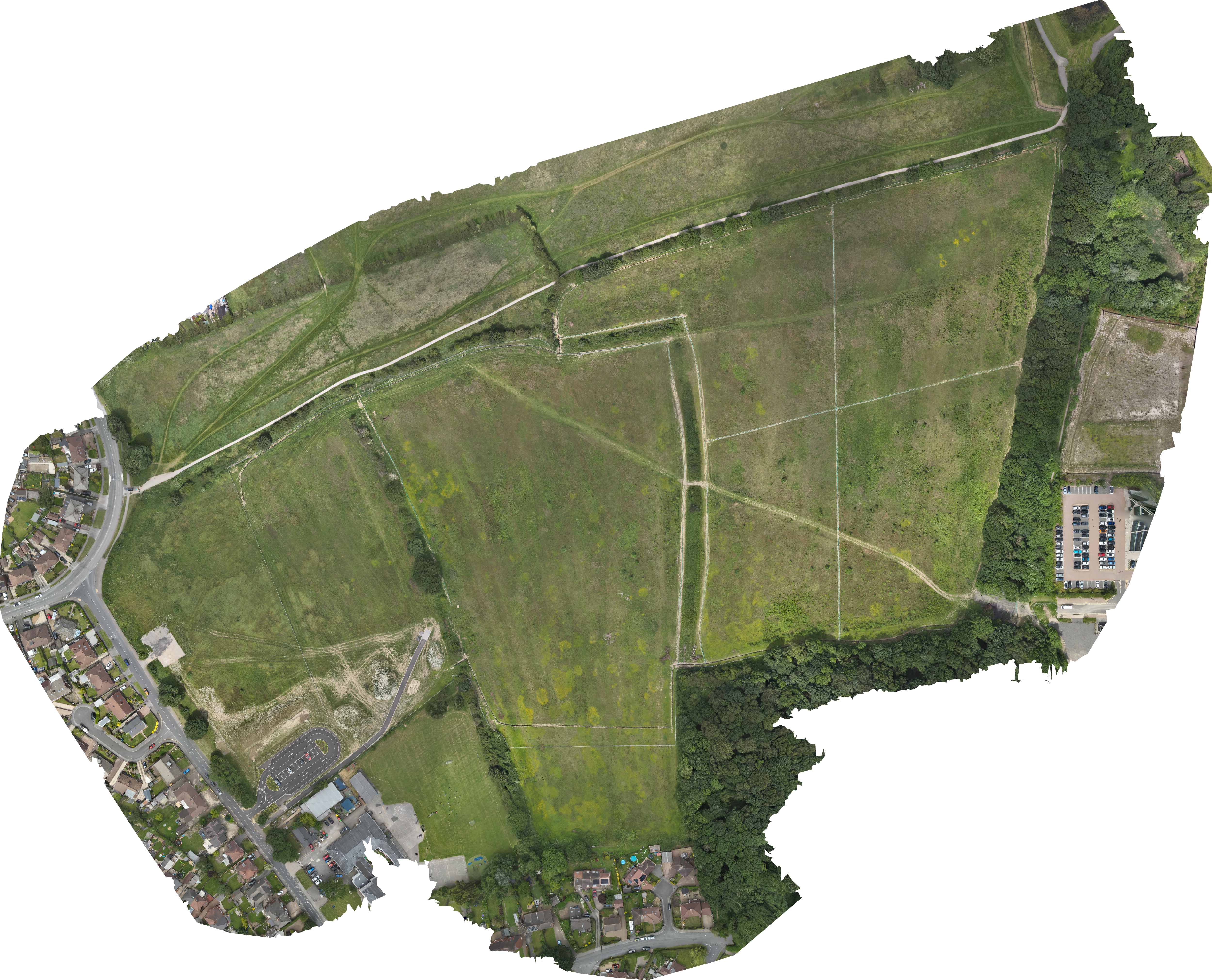 July orthophoto